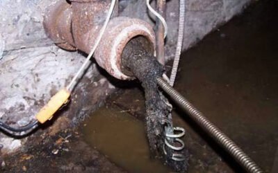 Avoid a Backyard Disaster: Professional Drain Field Repair in Yuba City That Actually Works